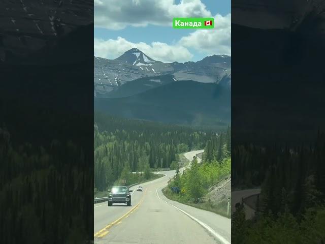 Новая жизнь в Канаде. Иммиграция в Канаду. Калгари 2025 #рекомендации #canada #топ #travel #2025