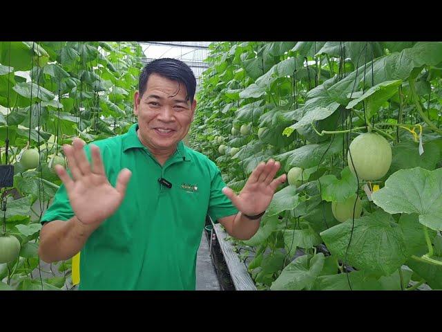 SMART FARMING AT FARM TOURISM ANG BUKID AMARA, ANG GANDA-GANDA #gardening #agriculture #farming