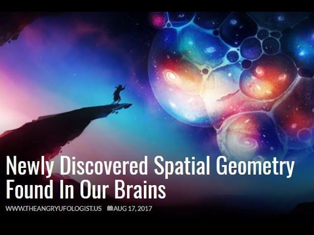 Newly Discovered Spatial Geometry Found In Our Brains. | AUDIO PODBIT | 8 mins