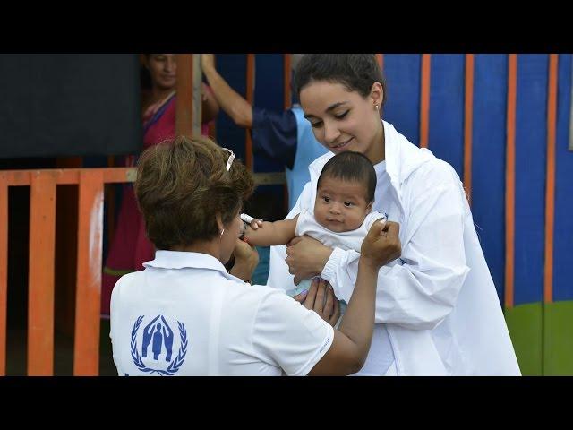 Working for UNHCR