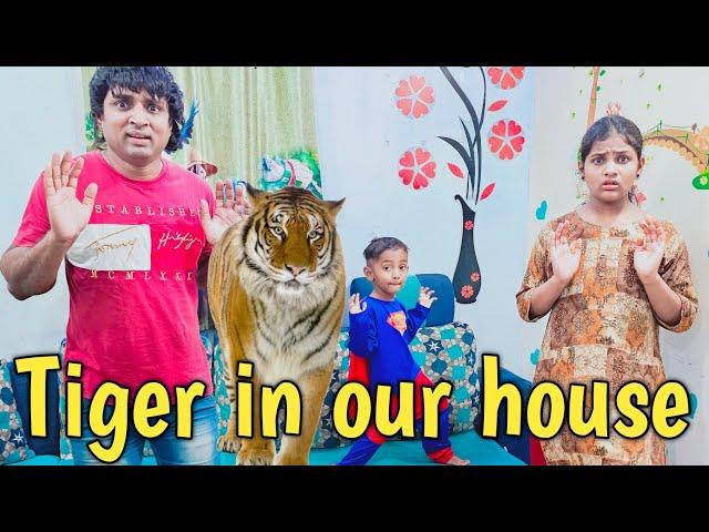 Tiger in our house | comedy video | funny video | Prabhu sarala lifestyle