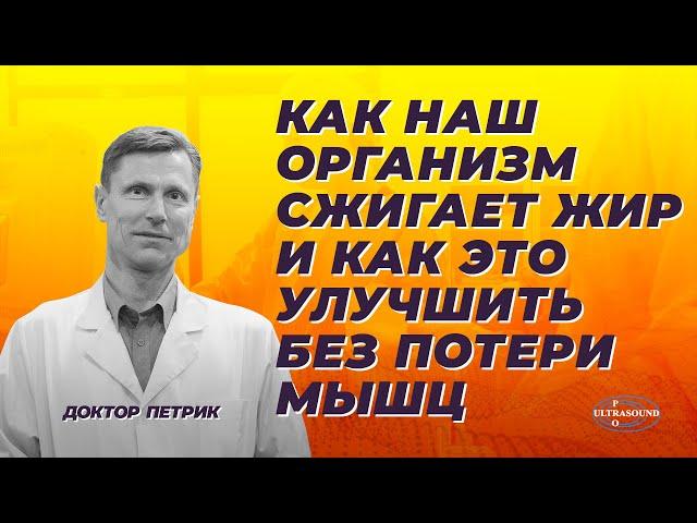 Как наш организм сжигает жир и как это улучшить без потери мышц