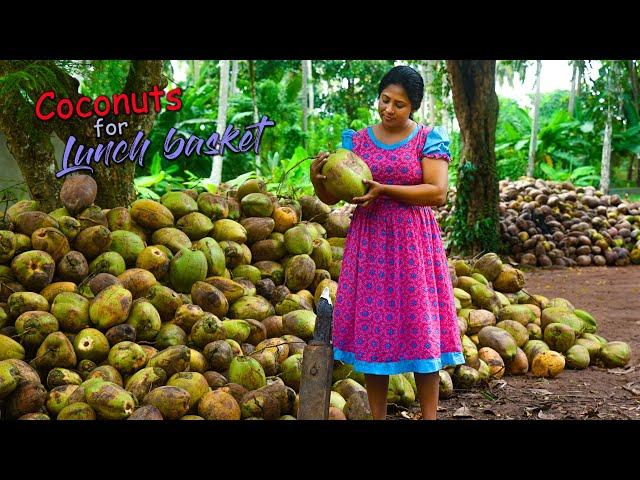 I made a huge lunch basket with coconut dishes for hungry paddy field workers! | Traditional Me