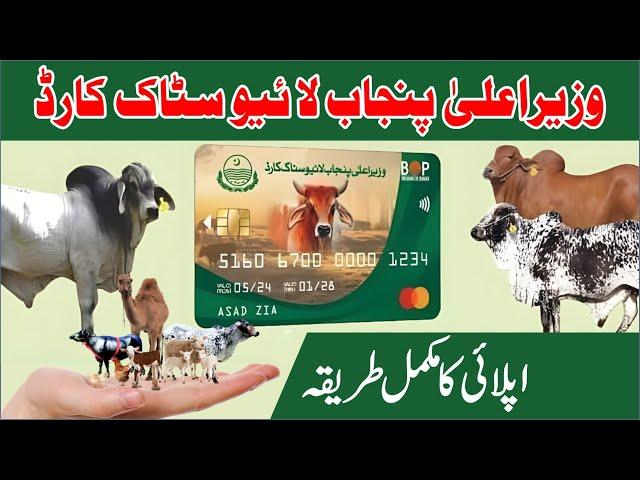 Livestock Card Punjab || How to Apply for Chief Minister Punjab Livestock Card