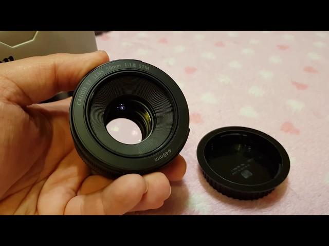 Canon EF 50mm f/1,8 STM Lens Close Look