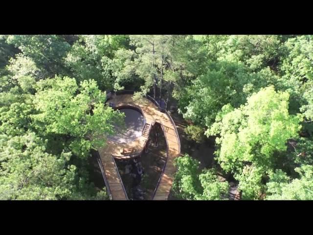 Bob Wheeler Science Skywalk Flyover