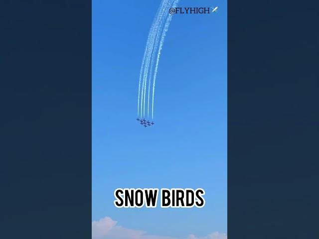 Snow birds️#aviation #avgeek #aviationspotting #aircraft #airplanes #flyhigh #aviationdaily