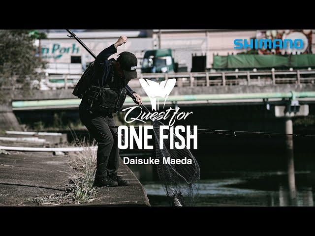 Quest for ONE FISH / 秋の大阪湾流入河川でシーバスを追う前田大介の“リアルシーバス”