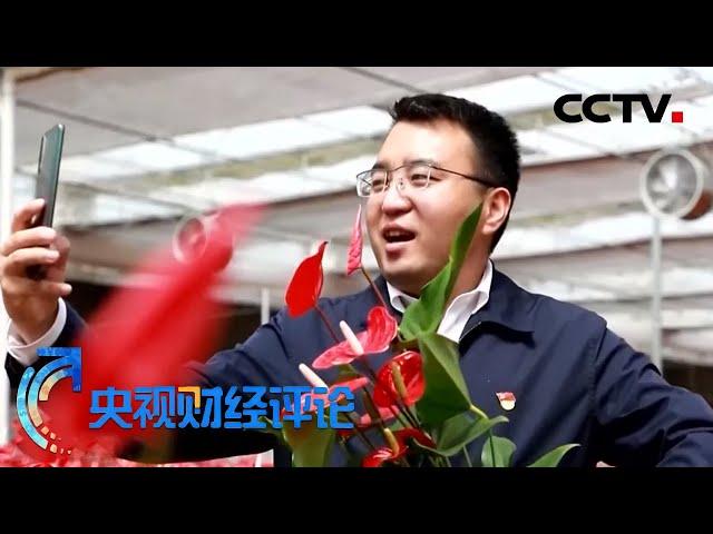 《央视财经评论》直播带货火了 产业如何再升级？ 20200624 | CCTV财经