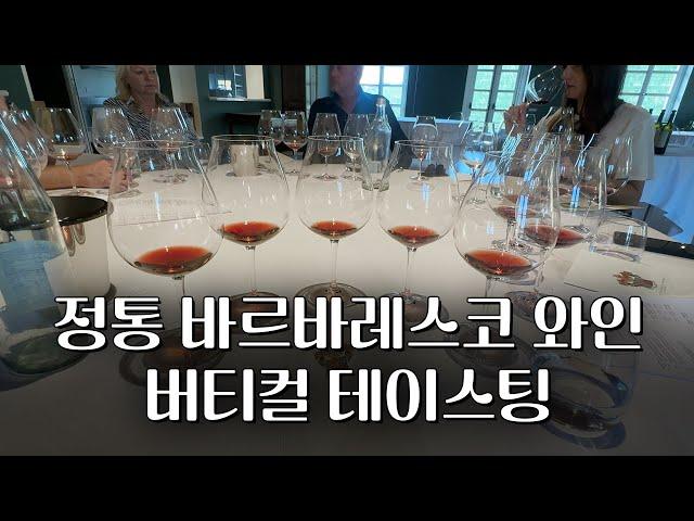 가야(Gaja) 다음으로  강추하는 바르바레스코 와인: 마르케시 디 그레시(Marchesi di Grésy) 와이너리 투어