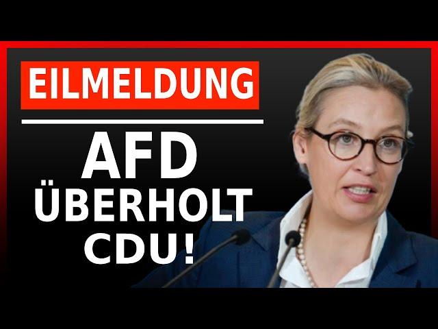  EILMELDUNG: AFD ÜBERHOLT CDU IN DEN UMFRAGEN!!!