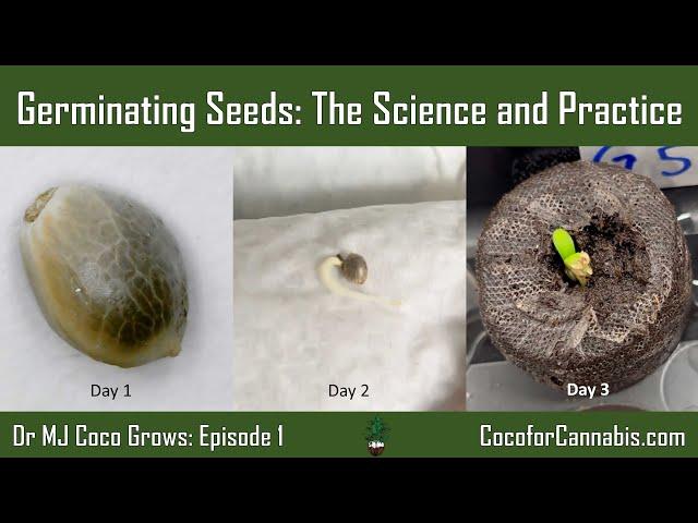 Germinating Seeds: The Science and Practice