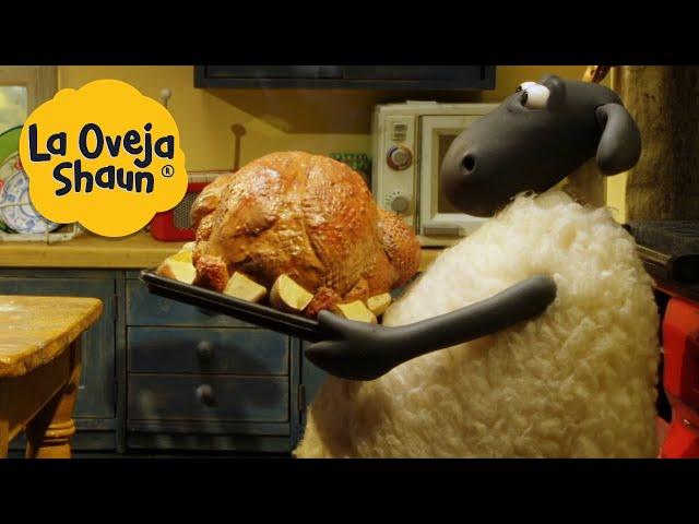 La Oveja Shaun  Cena asada  Dibujos animados para niños