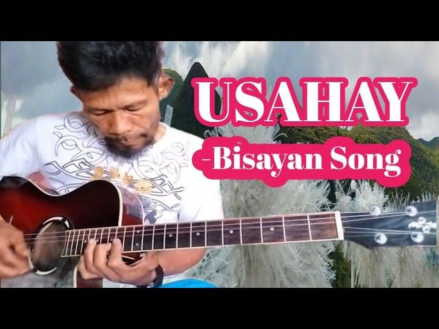 USAHAY | Bisayan Fingerstyle Cover Song. Regene Nueva Sr.