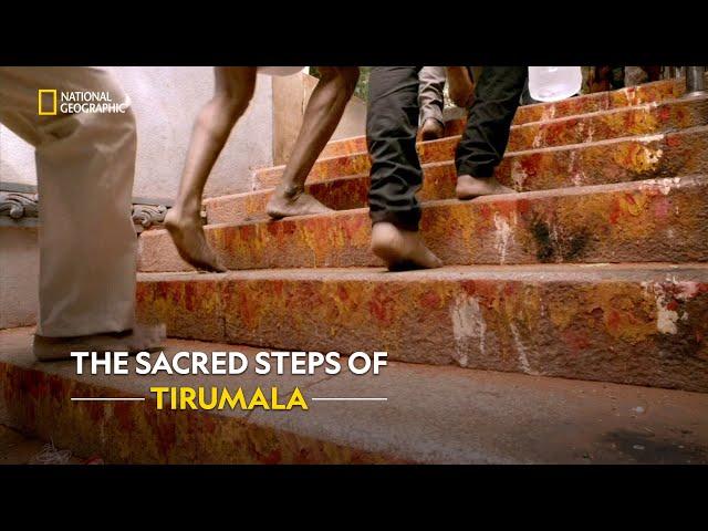 A Sacred Journey to Lord Venkateswara | Inside Tirumala Tirupati | हिंदी | S1 - E1 | Nat Geo