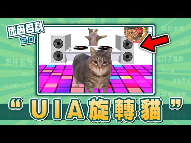 貓界第一高手！“U I A”是什麽迷因？【迷因百科】#UIA #Oiiaoiia #旋轉貓 #膽大黨 #瑪麗亞解凍 #貓梗 #貓meme #迷因 #梗 #抽象 #鬼畜 #meme