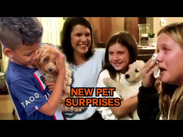 Is He Ours?!  New Pet Surprise!  #compilation | PAWSOME PETS