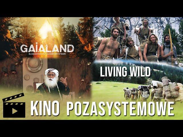  Kino pozasystemowe