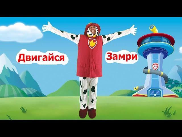 Двигайся - замри | Щенячий патруль | Детские песни | Танцы для детей