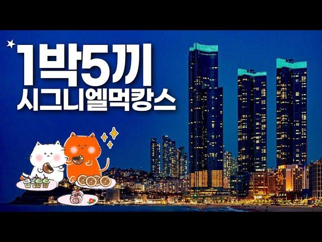 시그니엘 부산 1박5끼 - 미슐랭 식당부터 조식까지 하루종일 먹는 호캉스