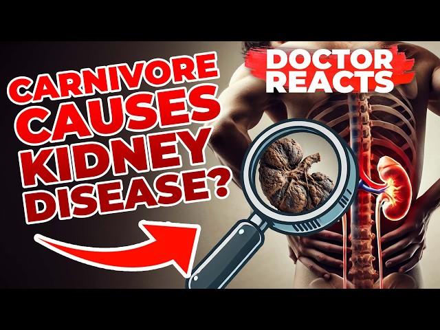 Does the Carnivore Diet Cause Kidney Disease? Answers Revealed! - Doctor Reacts