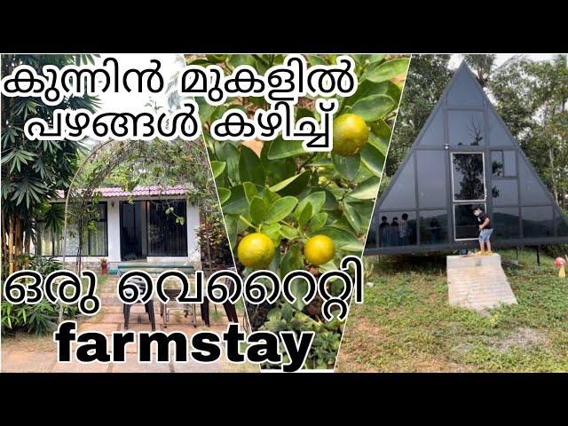 പഴത്തോട്ടത്തിന് നടുവിലെ  കിടിലൻ താമസം |FarmStay in Kozhikode | Kerala Tourism #farming #farmstay