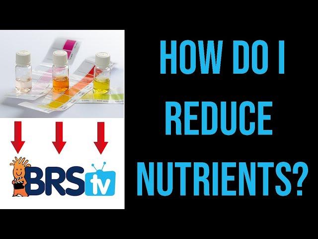 How to Lower Nitrate and Phosphate in a Saltwater Aquarium? | ep.5 BRStv Guide to Pollutive Foods