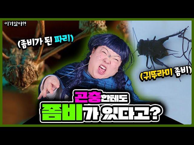 [이거알아?! 좀비] 생명체를 좀비로 만드는 곰팡이가 있다고?!‍️‍️ㅋㅋㅋㅋ (ft. 좀비파리, 좀비거미)