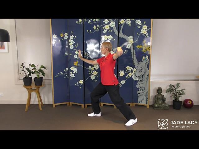 Q & A 1: Celestial Tai Chi College Yang Tai Chi Level 1