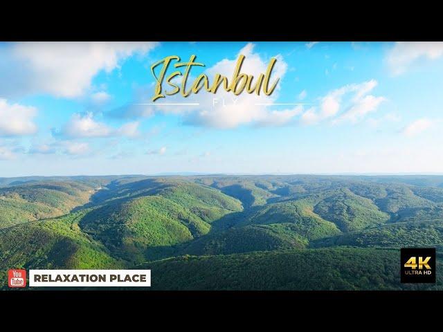 Turkey istanbul 4K . Immerse Yourself in the Enchanting Beauty of Nature with 4K Forest Videos