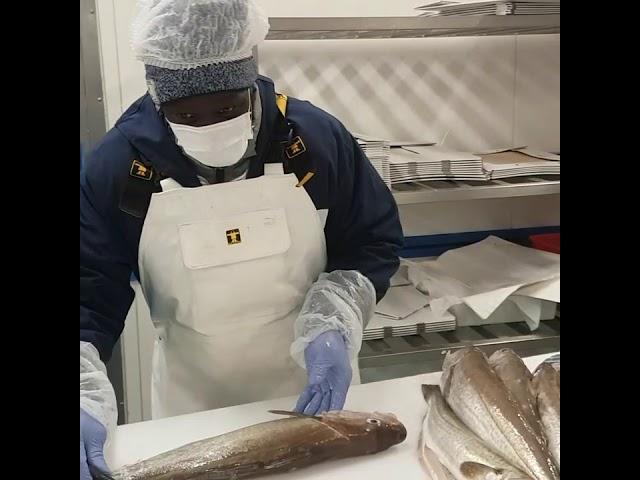 le métier  poissonnier comment faire un Merlan en filet