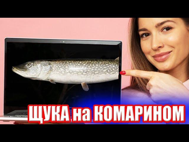 ЭТО ТРЕШ! Тролинг на оз. Комариное ● Русская Рыбалка 4 | РР4