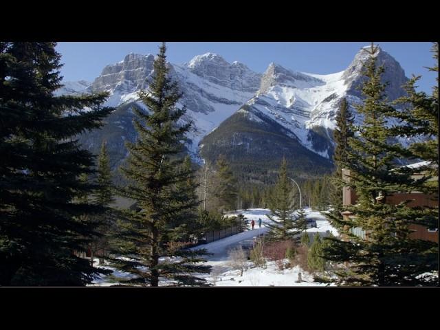 Hoji's Backyard: Skiing The Canmore Couloir