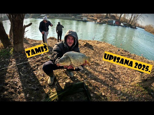 Prelepe ribe za početak sezone 2025. | CATFISH & CARP FISHING - TAMIS RIVER - February 2025.