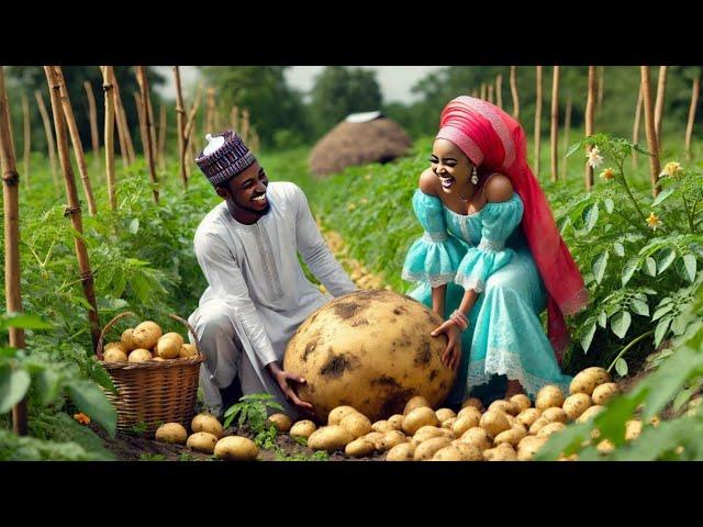 TATSUNIYA|| GOGGOJI MAI DANKALI_LABARAN HAUSA/ AREWA STORIES/ @voiceofanani