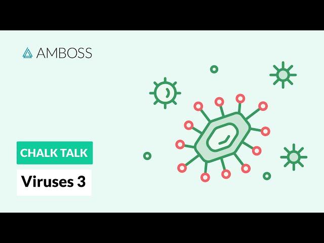 Viruses - Part 3:  Viral Replication Process