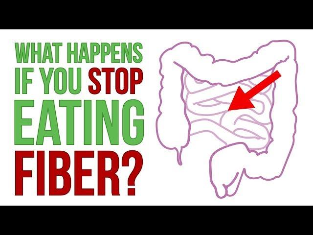 What Happens If You Don't Eat Fiber?