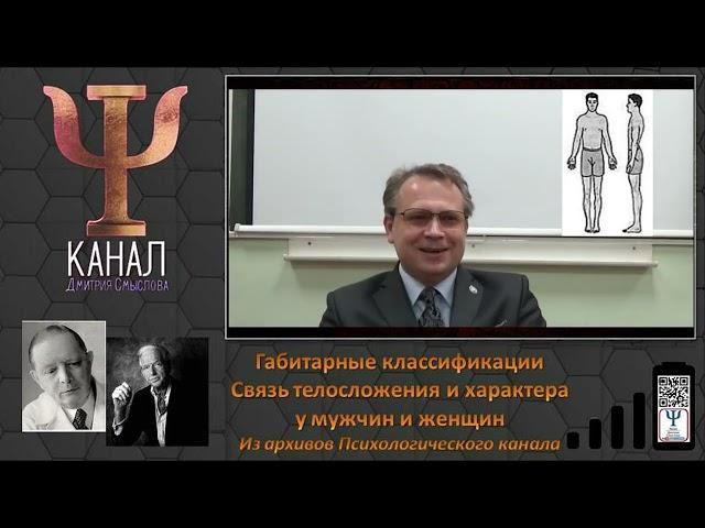 Габитарные классификации  Связь телосложения и характера у мужчин и женщин