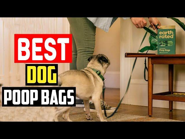 Top 5 Best Dog Poop Bags for Poops of All Shapes and Sizes in 2024