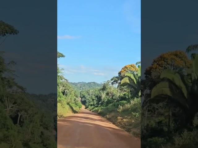 Transamazônica de Itaituba a Jacareacanga-PA