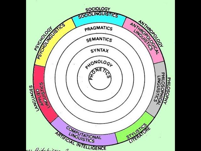 Outer circle of the scope of linguitics