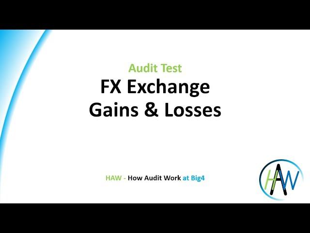 6.42 Audit Test - FX Exchange Gains & Losses - Preview