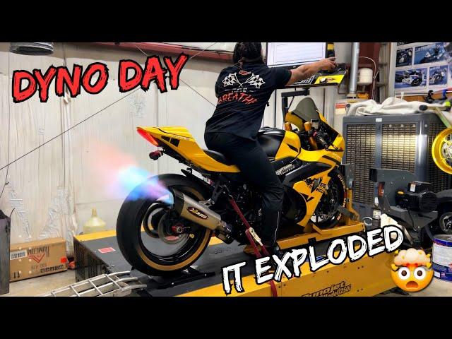 Dangerous ️ | Who Will Be Dyno King ? Suzuki GSX-R1000R,  Yamaha R7 , Zx10r,  Gsxr750, BMW s1000rr