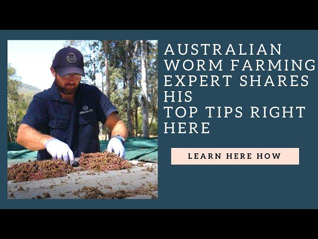 Australian Worm farming expert shares HIS TOP TIPS