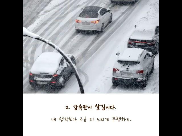 [폭설] "오늘 눈 많이온대요~"…눈썰매장 도로 운전 꿀팁