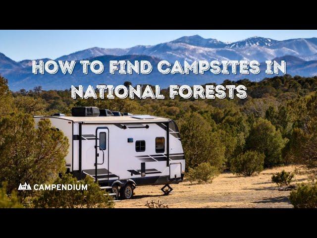 How To Find Campsites In National Forests