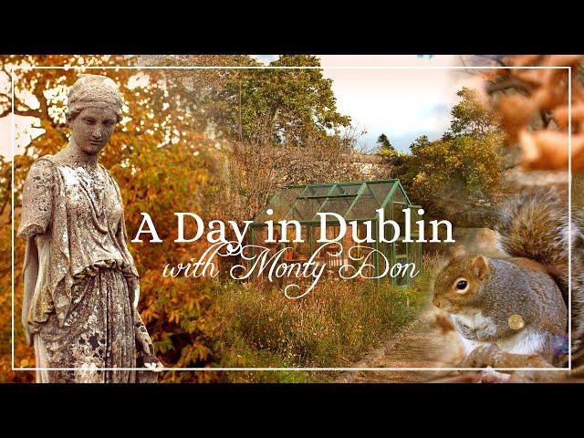 Relaxing Forest Walk | A Day in Dublin | Monty Don | Cosy Autumn Vlog | Cottage Garden Ideas