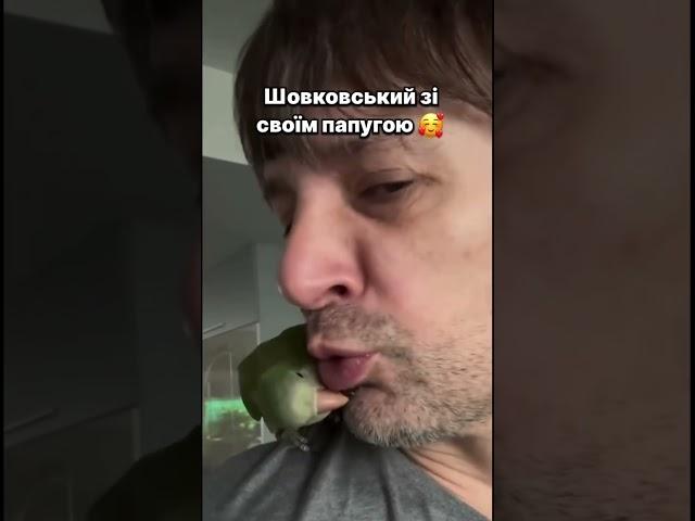 : oleksandrshovkovskyi #спортукраїни #football #футболукраїни #динамокиїв #шовковський