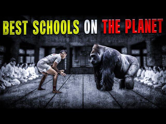 TRUTH Behind The Best BJJ Schools Worldwide