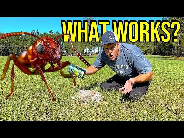 We FINALLY Found Something That KILLS Fire Ants!